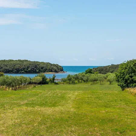 Вилла Lazy Olive *